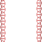 Valentine s Heart Border ClipArt Best ClipArt Best