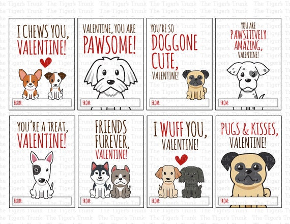 Dog Valentines Day