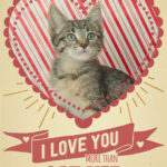 Free Printable Cat Valentine Cards