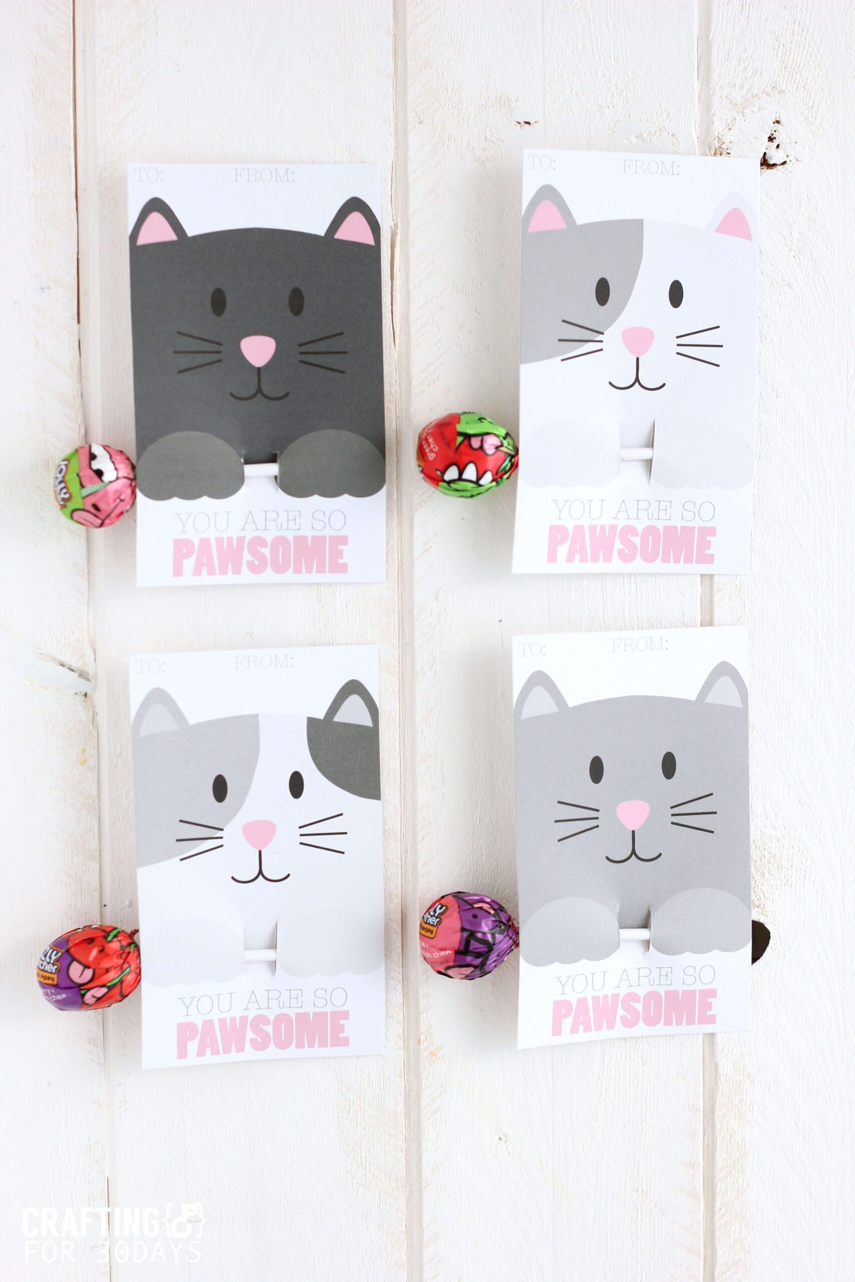 FREE Printable Cat Valentine Cards FREE Printable Cat Valentine Cards