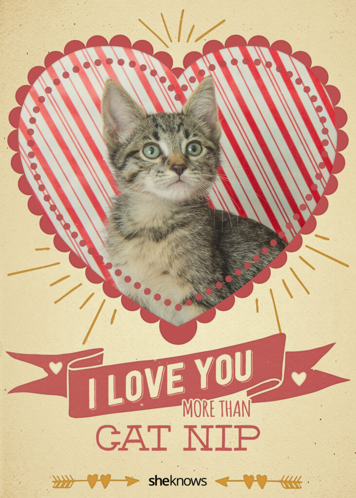 Free Printable Cat Valentine Cards