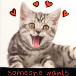 Funny Printable Valentines Day Cards