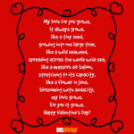 Happy Valentine s Day Poems For Him Or Her With Images 2017 Insbright
